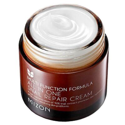 MIZON All in One Snail Repair Cream 75ml