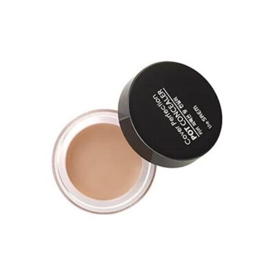 The Saem Cover Perfection Pot Concealer #2 Rich