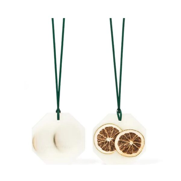 Carriere Freres Siracusa Lemon Botanical Palet 2x55g
