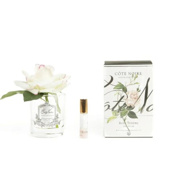 Cote Noire Perfumed Natural Touch Single French Rose - Pink Blush, Silver & Clear Glass