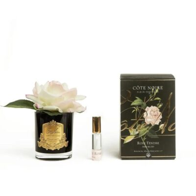 Cote Noire Perfumed Natural Touch Single French Rose - Pink Blush, Gold & Black Glass
