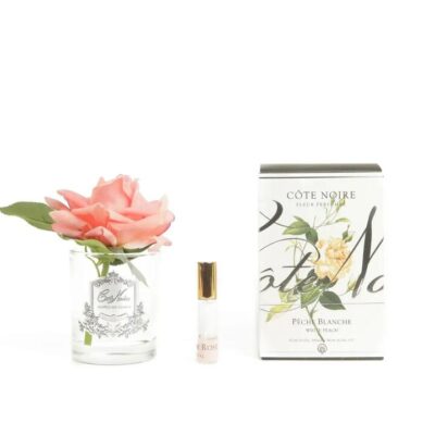 Cote Noire Perfumed Natural Touch Single French Rose - White Peach